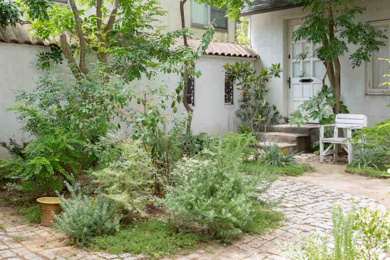 mimosa house︎ リゾート｜【庭】石畳の小道と植栽が重なるナチュラルな背景