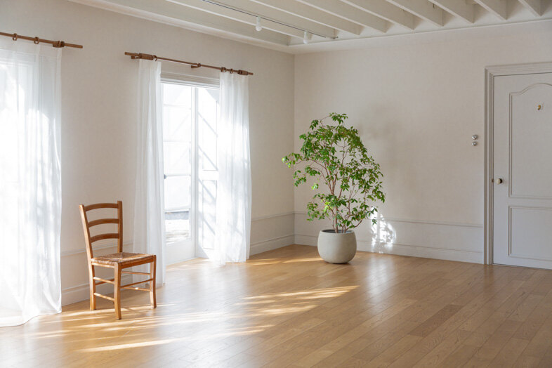 mimosa house︎ リゾート｜【1F】白壁とナチュラルフローリングに植物を添えた明るいリビング