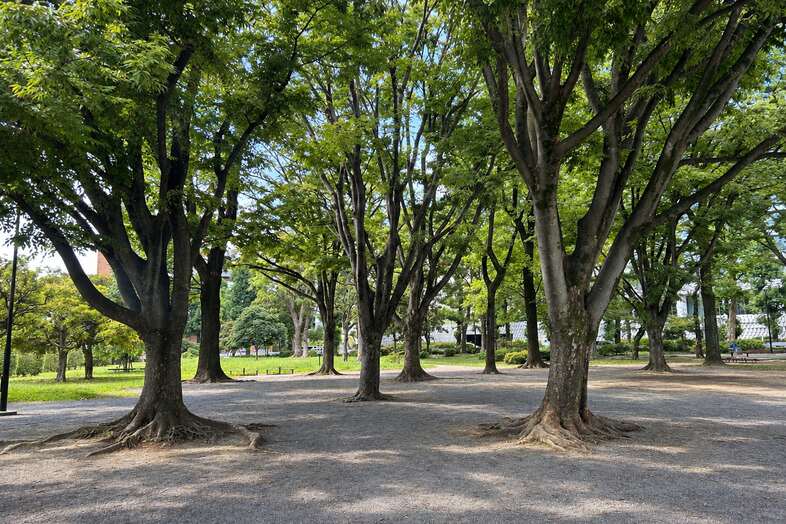 koto 青山屋上｜近隣には青山公園があります