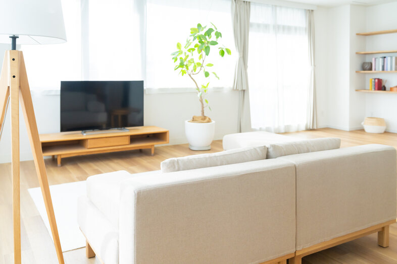 say studio｜ソファ背面からテレビまで収まる構図はくつろぎシーンにぴったり