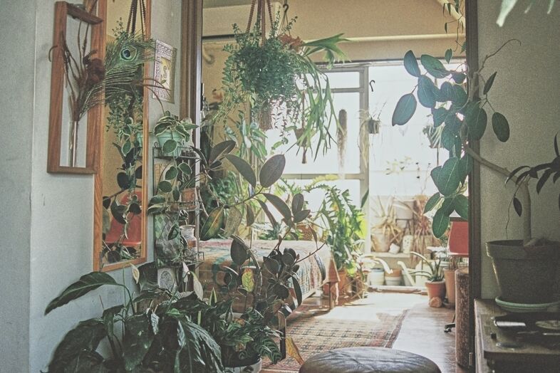 SEE YOU TOMORROW｜吊り鉢と鉢植えが連なる窓辺は人物撮影の背景に