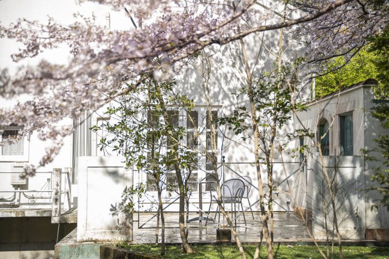 Greige House Studio by KIC｜【ガーデンテラス】満開の桜越しに建物を望む、春らしい華やかさに包まれた外観