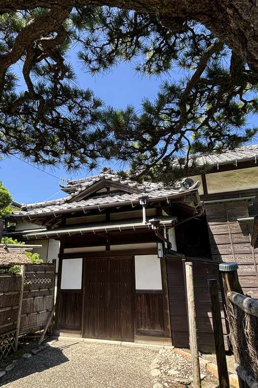 TOWARI NO MA｜青空を背景に大きな松の枝と瓦屋根が重なる日本家屋