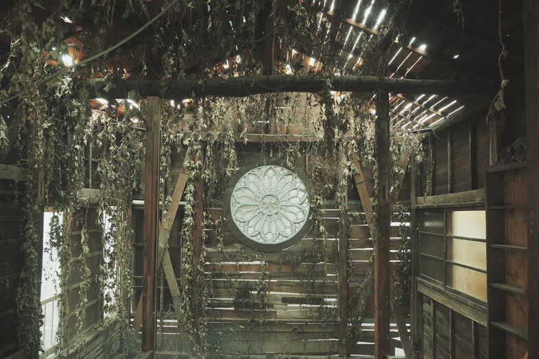 studio RILYN｜天窓の光と枯れた植物が重なる退廃的な上階空間